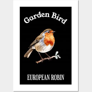 Garden Bird European Robin Posters and Art